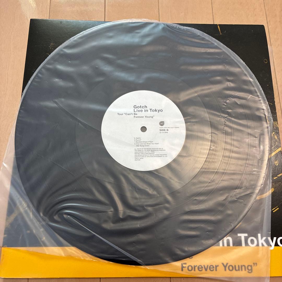 レコード LP アジカン ランドマーク live in tokyo 2枚セット